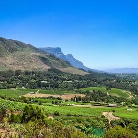 Stellenbosch Green Vista by Travel Essayist