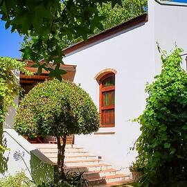 Stellenbosch Serenity by Travel Essayist