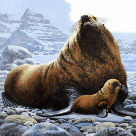 Steller Sea Lion by Dean Ellis