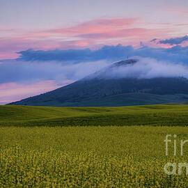 Steptoe Butte at Sunset by Dodie Ross