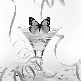 Still Life of Butterfly on a Martini Glass by William Grigsby