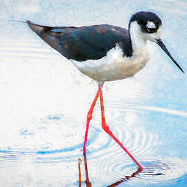 Stilt Wading Through Wetlands by Rebecca Herranen