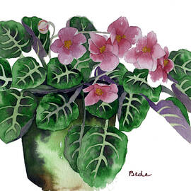 Stormy by Catherine Bede