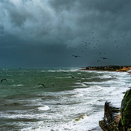 Stormy Seascapes by Tommy Farnsworth