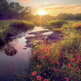 Streaming by Slow Fuse Photography