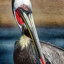 Striking Pose by Kelley King