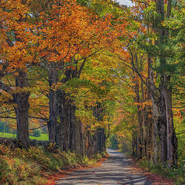 Strolling on Lovers Lane by Penny Polakoff