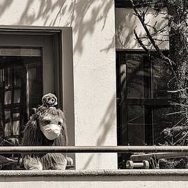 stuffed Covid by John Linnemeyer