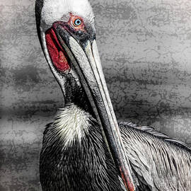 Subtle Color Portrait by Kelley King