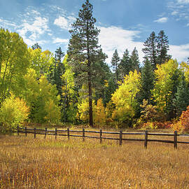 Subtle Splendor of New Mexico's Autumn Meadow by Rebecca Herranen