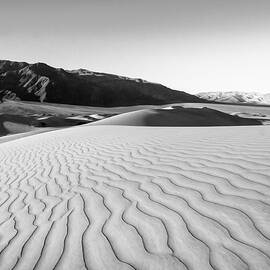 Sueno Con Las Dunas by Joe Schofield