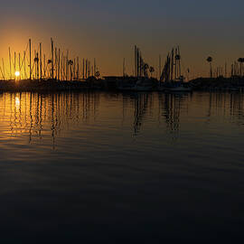 Summer Nights at the Marina by Alison Frank