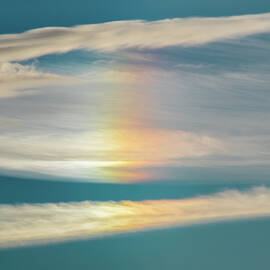 Sun Dog by Mike Lee