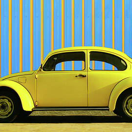 Sun Yellow Bug by Laura Fasulo