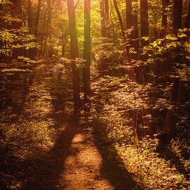 Sunbound by Rich Kovach