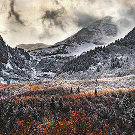 Sundance Autumn Snowfall 2, Utah by Abbie Matthews