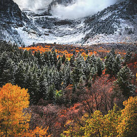 Sundance Fire and Ice, Utah - Vertical by Abbie Matthews