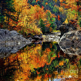 Sunday River Reflection by Olivier Le Queinec