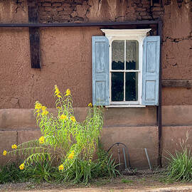 Sunflowers and Blue Shuttered Adobe in La Cueva New Mexico by Mary Lee Dereske