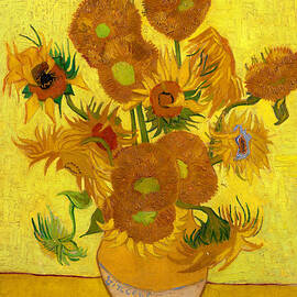 Sunflowers by Long Shot