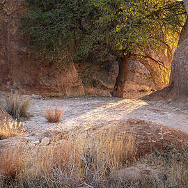 Sunlight City of Rocks New Mexico by Mary Lee Dereske