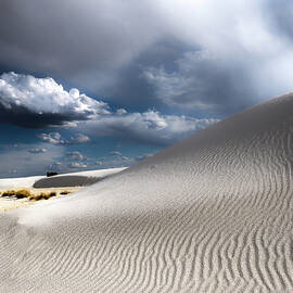 Sunlight Weather and Sandprints by Joe Schofield