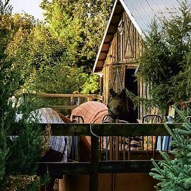 Sunlit Sanctuary Rustic Charm in the Countryside by Travel Essayist