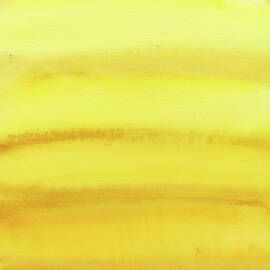 Sunny Days Color Field of Yellows by Elizabeth Reich