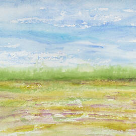 Sunny Field Day South Carolina Field Series by Elizabeth Reich