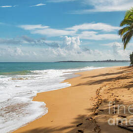 Sunny Tropical Loiza Beach with Palms by Beachtown Views