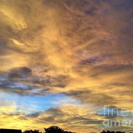 Sunrise Explosion - Sunrise Photography by Catherine Wilson