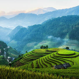 Sunrise on Mu Cang Chai by DEE POTTER