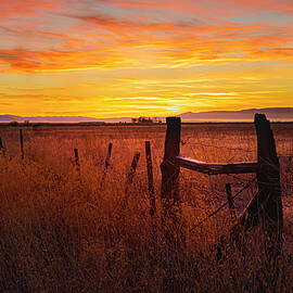 Sunrise on the Ranch           by Mike Lee