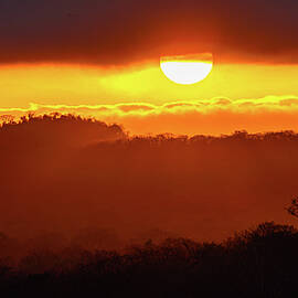 Sunrise Over the Jungle Mazatlan by Tommy Farnsworth