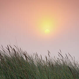 Sunrise through the fog by Francisco Ruiz Navas