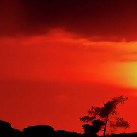 Sunset Algarve Portugal by Tommy Farnsworth