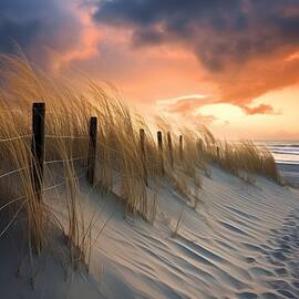 Sunset Dunes by Land of Dreams