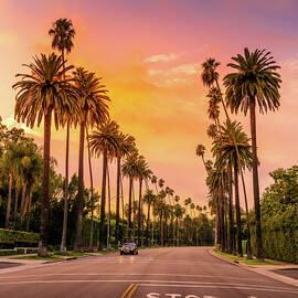 Sunset in Beverly Hills by Serge Ramelli