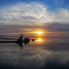 Sunset on Oregon Coast by Jean Noren