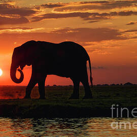 Sunset over Botswana by Natural Focal Point Photography