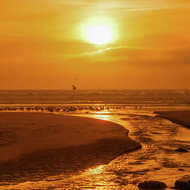 Sunset Pacific Coast Highway California by Tommy Farnsworth