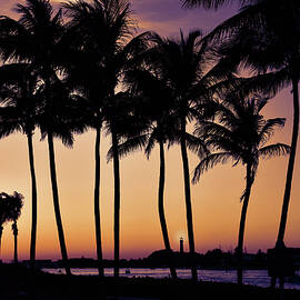 Sunset Palms at Jupiter Inlet by Laura Fasulo