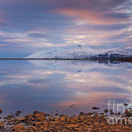 Sunset reflections at Hjalteyri, Eyjafjordur, Iceland by Neale And Judith Clark