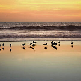Sunset Reflections at Praia da Rocha by Rebecca Herranen