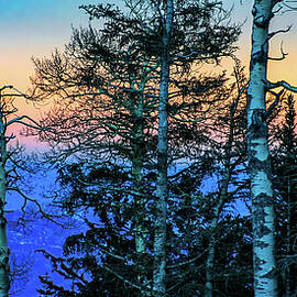 Sunset Sandia Mountains Albuquerque New Mexico by Tommy Farnsworth