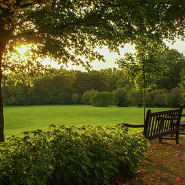 Sunset Seating by Deb Beausoleil