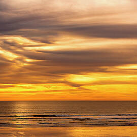 Sunset Walk by Alison Frank