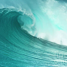 Surf wave curl pipe, Algarve, Portugal by Neale And Judith Clark