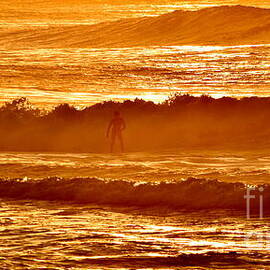 Surfer in Golden Light Kauai by Debra Banks