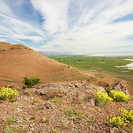 Surprise Valley Vista by Mike Lee